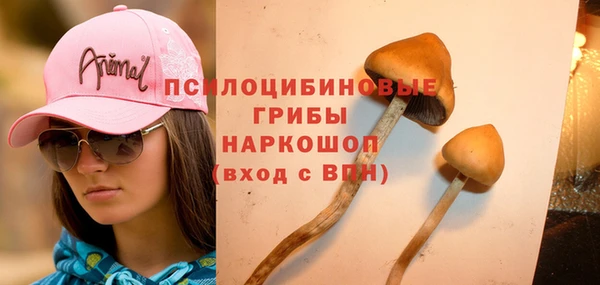 дмт Сафоново