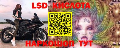 спайс Гай