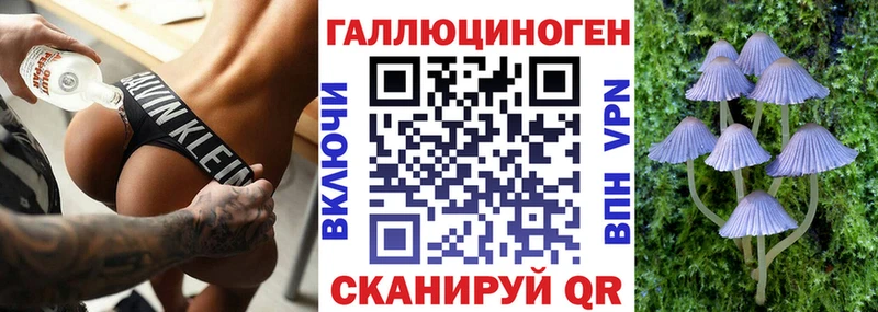 Псилоцибиновые грибы MAGIC MUSHROOMS  блэк спрут tor  маркетплейс наркотические препараты  Железноводск 