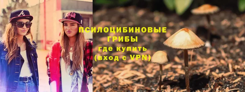 Псилоцибиновые грибы MAGIC MUSHROOMS  где можно купить   Железноводск 