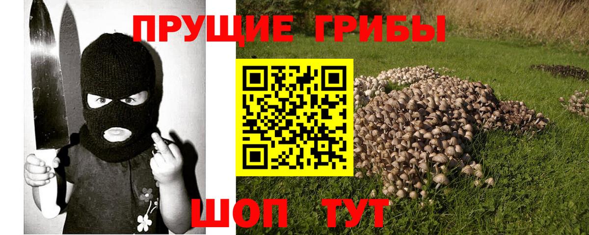 Железноводск  Галлюциногенные грибы мухоморы  Галлюциногенные грибы мицелий  Вход с VPN 