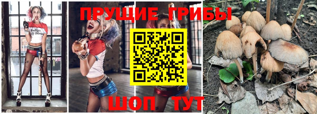 Псилоцибиновые грибы Magic Shrooms  Псилоцибиновые грибы Magic Shrooms  Железноводск 