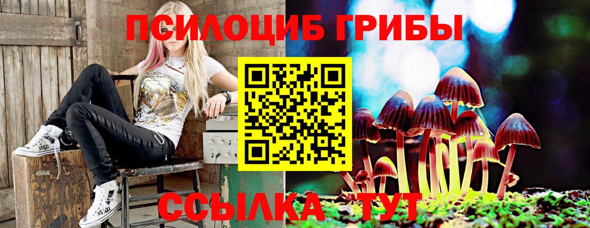 Галлюциногенные грибы Psilocybe Железноводск